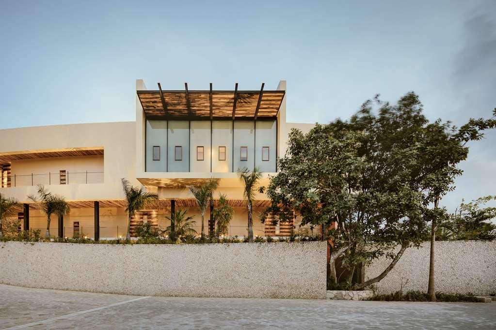 La Casa De La Playa - All Fun Inclusive Los Dos Compadres Tiện nghi bức ảnh
